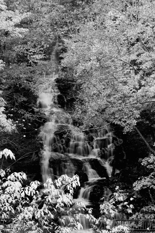 Preview: Waterfall In Black And White