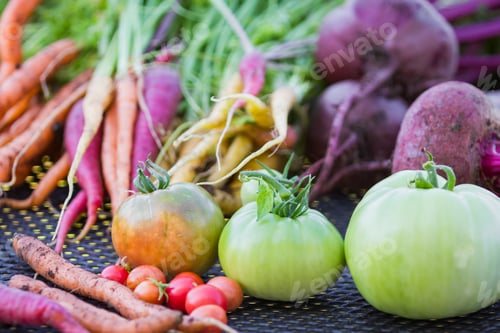 Preview: Organic Vegetables Grown In The Back Yard, Harvested In The Fall