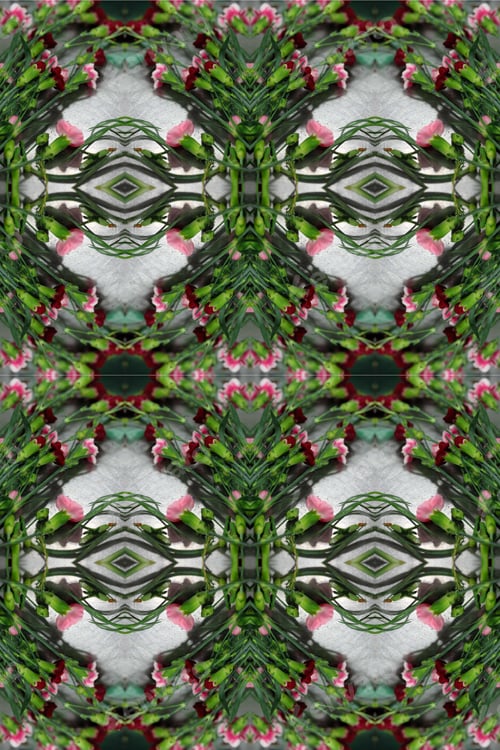 Preview: Abstracts Of Carnation Stalks With Bright Pink And Dark Magenta Flowers 8003