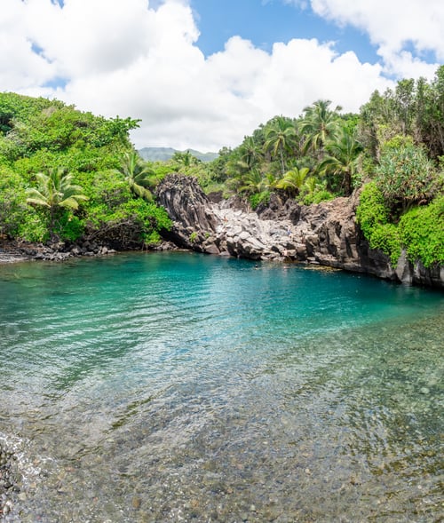 Preview: Gorgeous Lagoon With Turquoise Waters By The Ocean. Lush Jungle And Rocks In The Background. Shot
