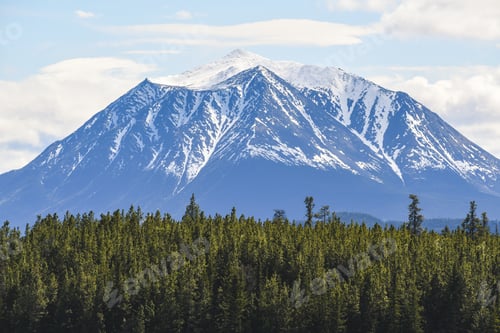 Preview: Beautiful Big Rocky Mountain With Its Summit Still Covered In Snow With The Boreal Forest In The