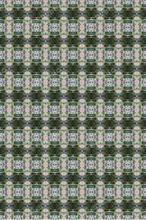 Preview: An Adenium Plant Abstract With Deep Fresh Green Leaves 0217