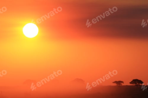 Vista previa: Fondo de puesta de sol - Colores africanos - Belleza mística de la naturaleza