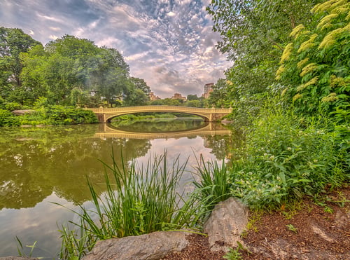 Preview: The Bow Bridge Is A Cast Iron Bridge Located In Central Park, New York City, Crossing Over The Lake