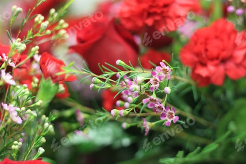 Preview: A Floral Bouquet Arrangement With Crimson Red Carnations And Pink Wax Flowers 8011