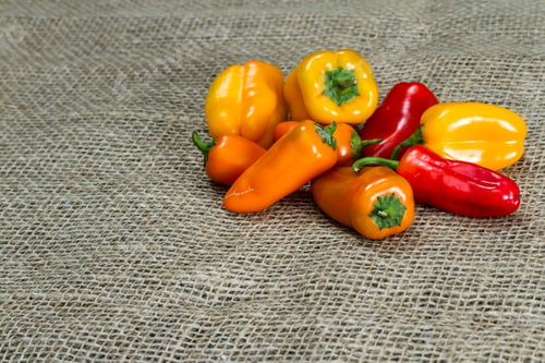 Preview: Red, Orange And Yellow Sweet Peppers On A Burlap Background