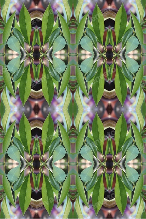 Preview: An Abstract Of Fresh Green Plumeria Rubra Leaves 0053