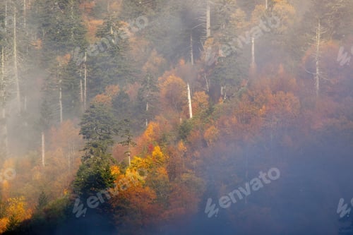 Preview: Mountain With Early Morning Mist