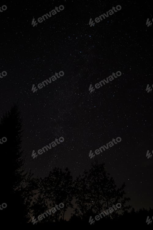 Preview: Natural Starry Night Sky Over Trees