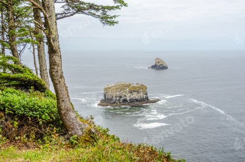 Preview: Oregon Coast.