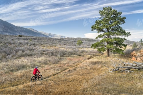 Preview: Male Riding A Fat Bike On Single Track Trail In Colorado Foothills, Fall Scenery