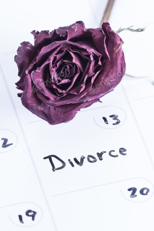 Preview: Close Up Concept Image For A Divorce Using A Dry Erase Calendar And A Dried Dead Rose