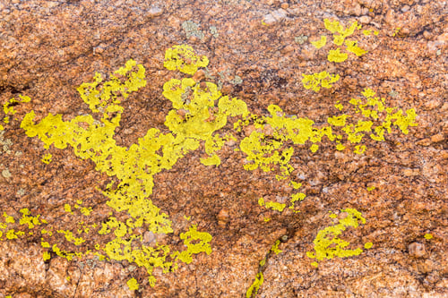 Preview: Lichen Forms Interesting Patterns Of Pink Orange Granite Rocks In Colorado Mountains