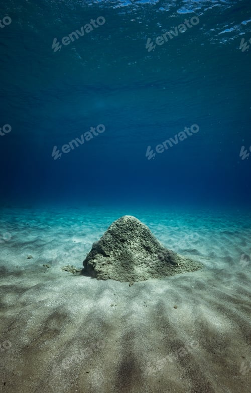 Preview: View Of Underwater Stone With Rippled Sand