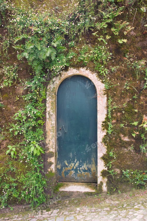 Preview: Old Door In The Wall Covered With Wild Fllowers