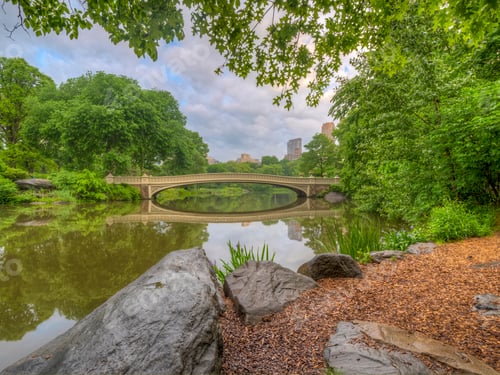 Preview: Bow Bridge In New York City, Central Park Manhattan