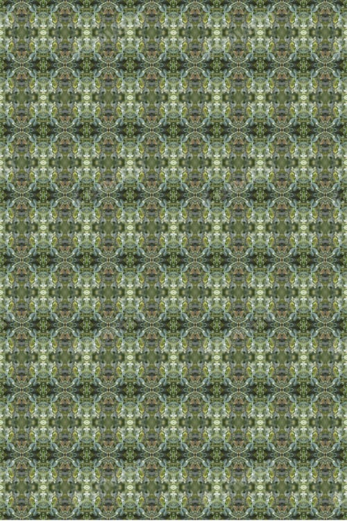 Preview: A Bright Green Caterpillar Hanging On Tomato Plants Abstract 0218