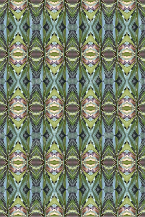 Preview: An Abstract Of Fresh Green Plumeria Rubra Leaves 0035