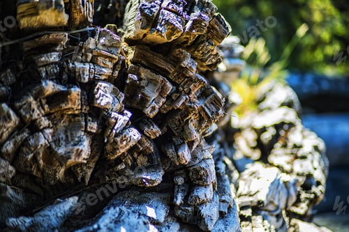 Preview: Colorful Rotten Driftwood Closeup In The Beach.