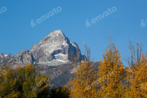 Preview: Snow Capped Mountain And Autumn Leaves