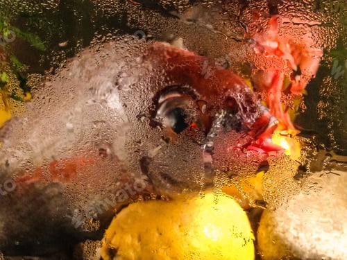 Preview: Fresh Fish On Display Behind A Fogged Display Window