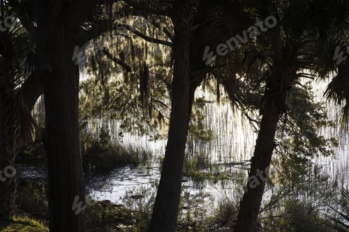 Preview: Landscape With Water And Trees