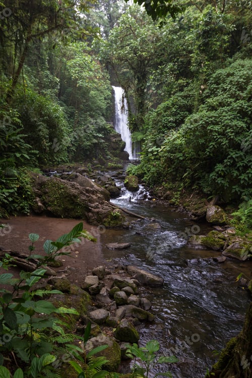 Preview: Beautiful Waterfall In A Tropical Rain Forest In Central Costa Rica
