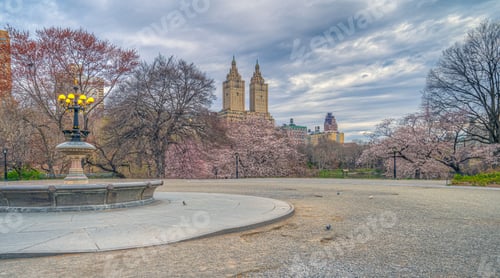 Preview: Spring In Central Park, New York City
