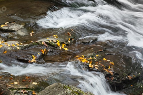 Preview: Stream Cascading Around Leaf Strewn Rocks