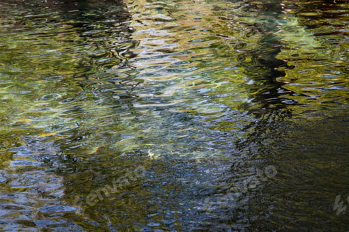 Preview: Abstract Of Water Reflecting Sky And Trees