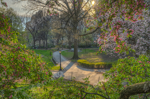 Preview: Spring In Central Park, New York City