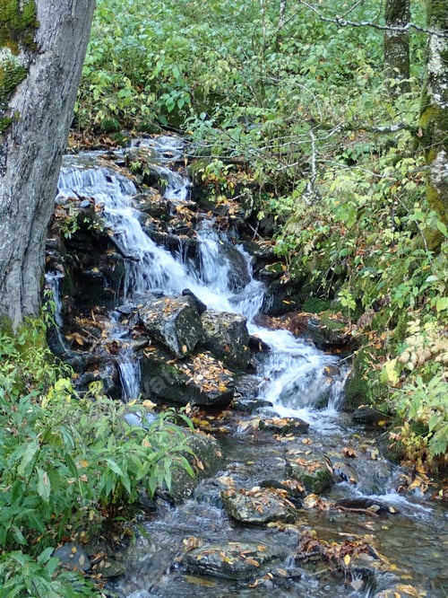 Preview: Stream Cascading In The Mountains