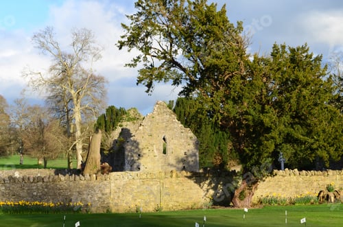 Preview: Ruins Of The Adare Friary In County Limerick Ireland.