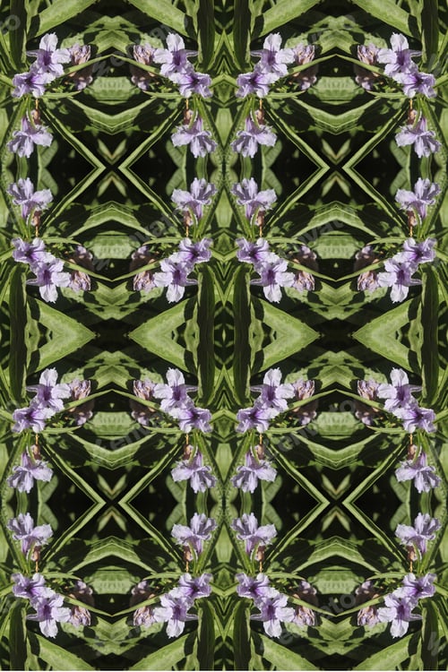 Preview: A Ruellia Petunia Plant Abstract With Blue Purple Flowers 0703