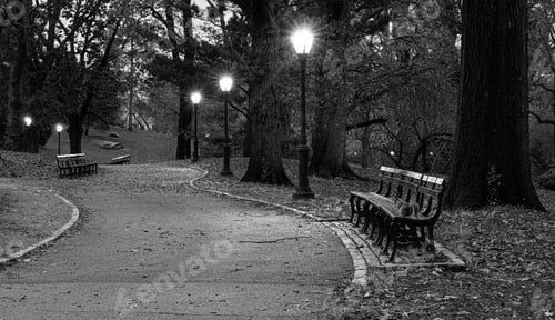 Preview: Central Park, New York City In Autumn At Dawn