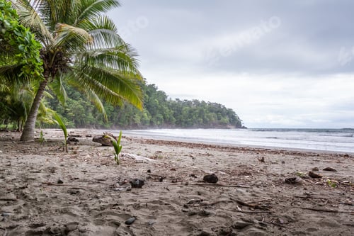 Preview: Relaxing Beach In The Costa Rican South Pacific