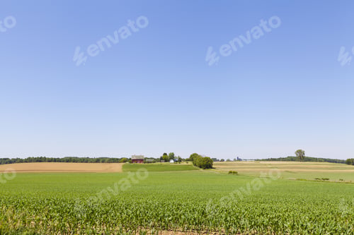 Preview: Field With Farm Buildings In The Background