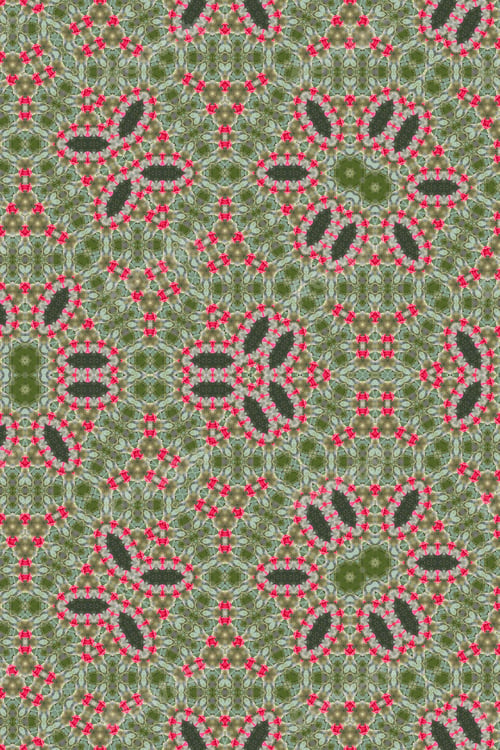 Preview: A Hibiscus Plant Abstract With Bright Pink Flowers 2846