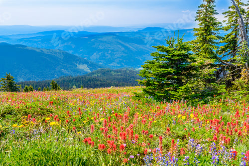 Preview: Trail To A Mountan Summit In British Columbia, Canada.