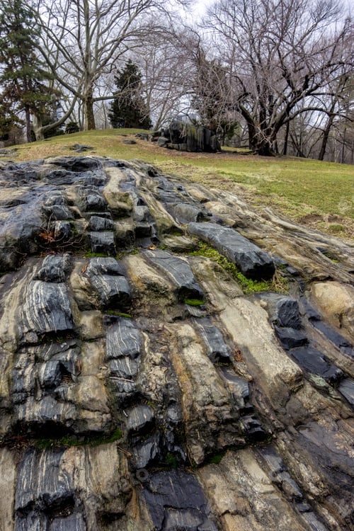 Preview: Central Park, New York City
