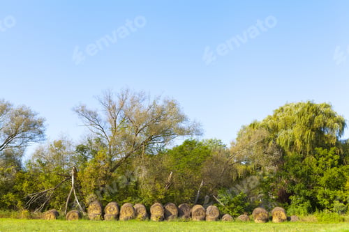 Preview: American Countryside In The Morning