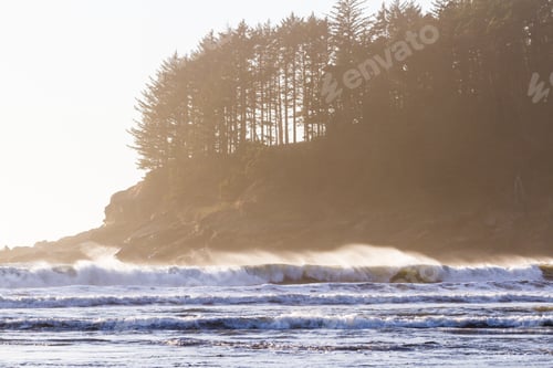 Preview: Beautiful View Form Hunters Cove In The Southern Oregon Coast With Jagged Rocks And Evergreen Trees