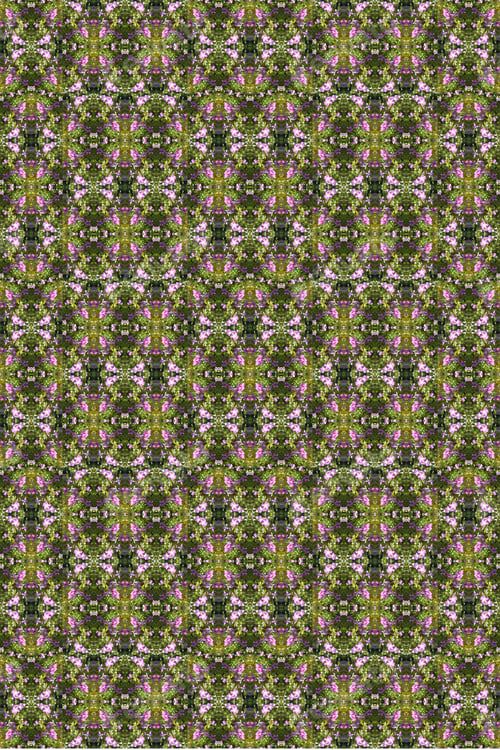 Preview: Vinca Plants Abstract With Bright Pink And Purple Flowers 0368