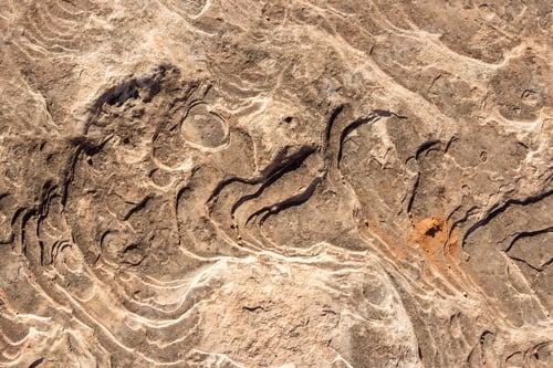 Preview: Close Up Of The Erosion Process And Multitude Of Layers On A Piece Of Sandstone