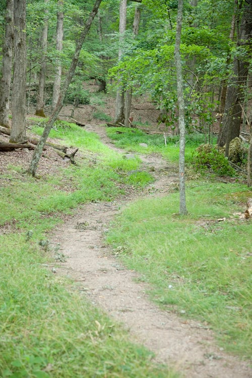 Preview: Old Foot Path Trail Up The Mountain Side, Through The Woods