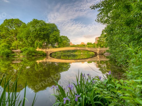 Preview: Bow Bridge In New York City, Central Park Manhattan