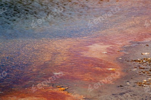 Vista previa: Natural Abstract From A Hot Spring