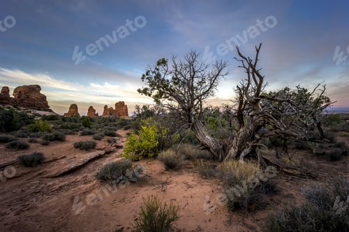 Preview: Arches National Park Is A Us National Park In Eastern Utah