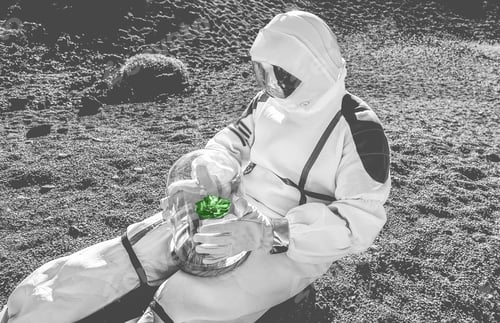 Preview: Astronaut With Plant Box In Other Planet - Spaceman Trying To Saving Life Into New Galaxy