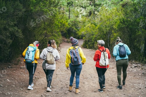 Preview: Multiracial Women Having Fun During Trekking Day In Mountain Forest - Focus On Backpacks